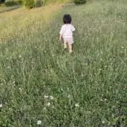 つむパパの画像