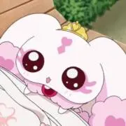めこの画像