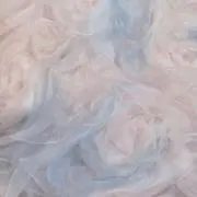 雫の画像