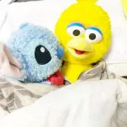 KA0204の画像