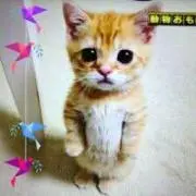 ち〜か