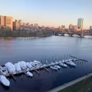 ダンボの画像