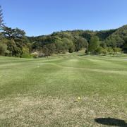 TORAの画像