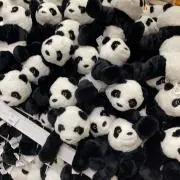 こえだ