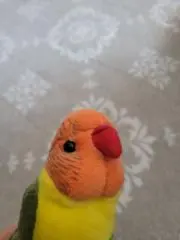 ミッポー