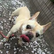SHIOOOONの画像
