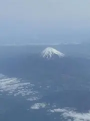 まぁの画像
