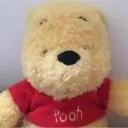Poohの画像