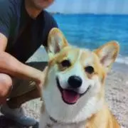 しょうの画像
