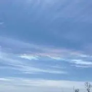 フルールの画像