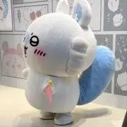 ゆの画像