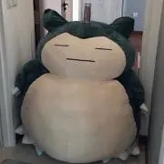 Sの画像