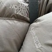 SGの画像