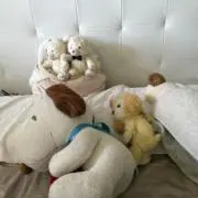上野しーちゃんの画像