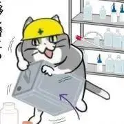 おひるねかぼちゃ　まとめ買い歓迎！の画像