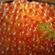 イクラ3月3日ー4月11日迄お休みです