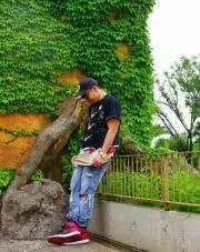 sbgの画像