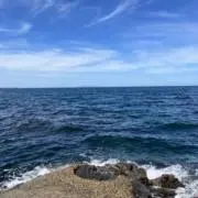 うにてぃの画像