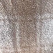 ぽんちゃんの画像