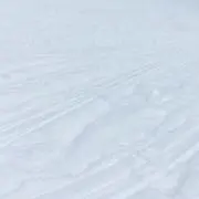 じょう