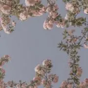 みっさ〜☆売り切りセール中‼️の画像