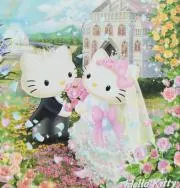 ୨୧⁺˖⟡.*。の画像