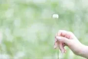 yk値引き交渉歓迎の画像