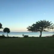 yoの画像