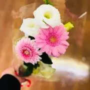 ℳ.