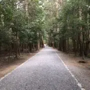 珊瑚礁の画像