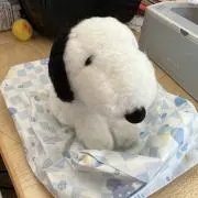 ゆずっ子の画像