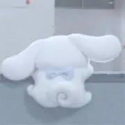 羽の画像