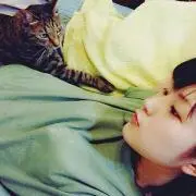 なこ