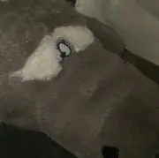 にゃんちゅう