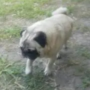 ヒロ