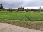 あみいの画像
