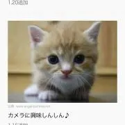 えっりーの画像