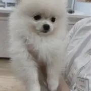 とと