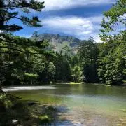 Sakaの画像
