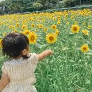 Renの画像