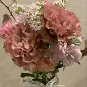 MNの画像