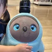 ちょこの画像