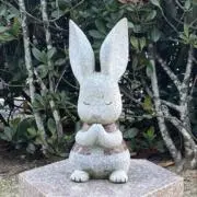 タックの画像