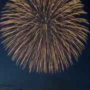 HANABIの画像