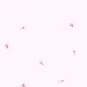 あせび