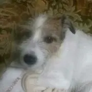 あち☆プロフ読んでくださいね☆