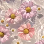 aa(プロフ確認お願いします)の画像