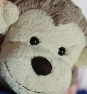 pyonkichiの画像