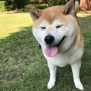 ここ