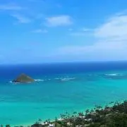 riiiの画像
